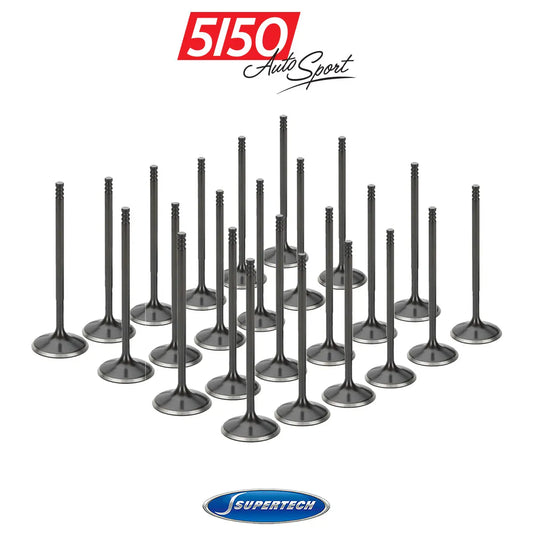 BMW E36 Euro Nitrided Valve Set