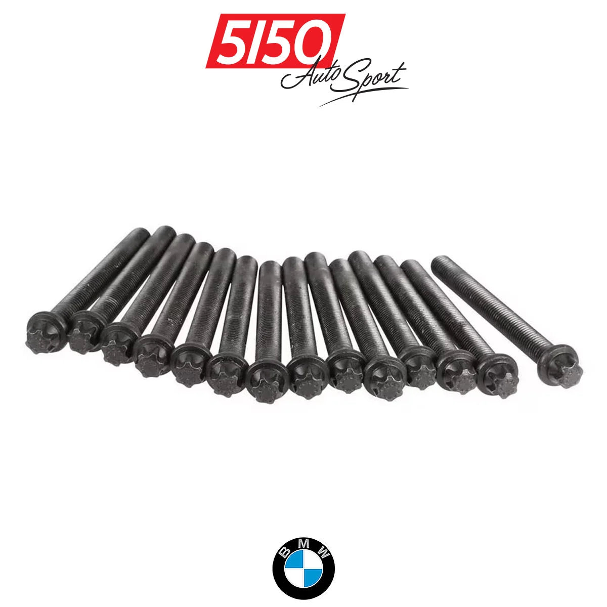 Genuine BMW S54 Head Bolt Set 11127831862