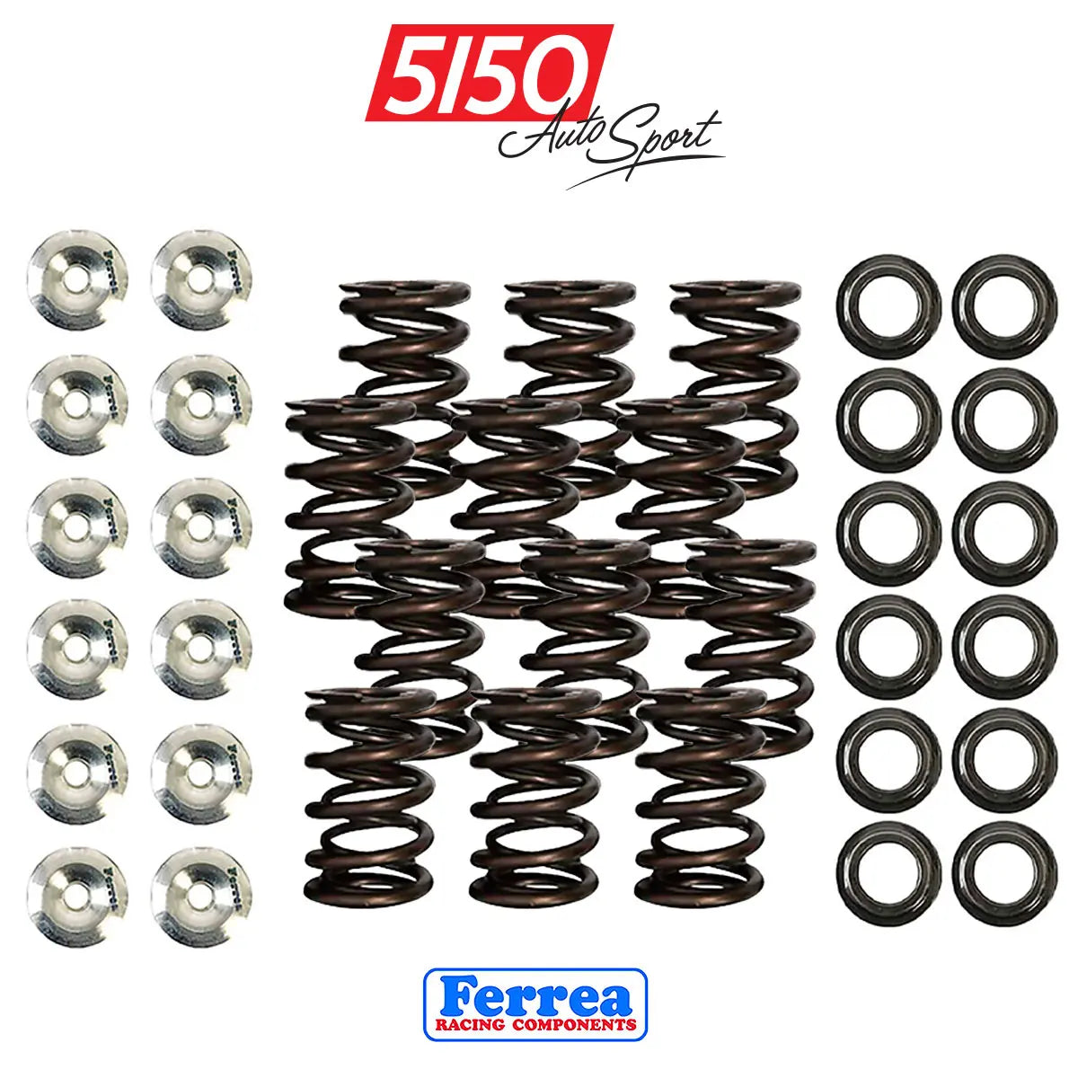 B38 Valve Spring Kit | Ferrea Racing | BMW MINI