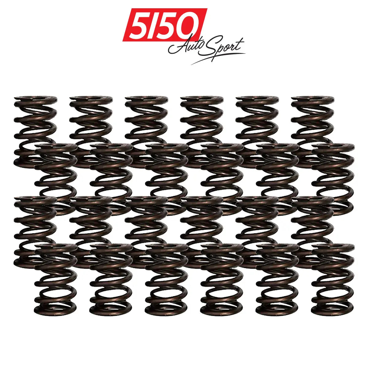 BMW M50 / M52 / S50 / S52 11,000 RPM Valve Spring Kit – 5150 AutoSport