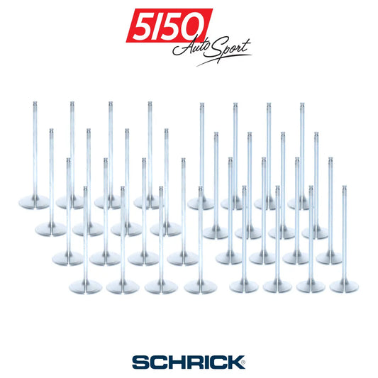 Schrick High Performance Valves for BMW S65 V8 Engines