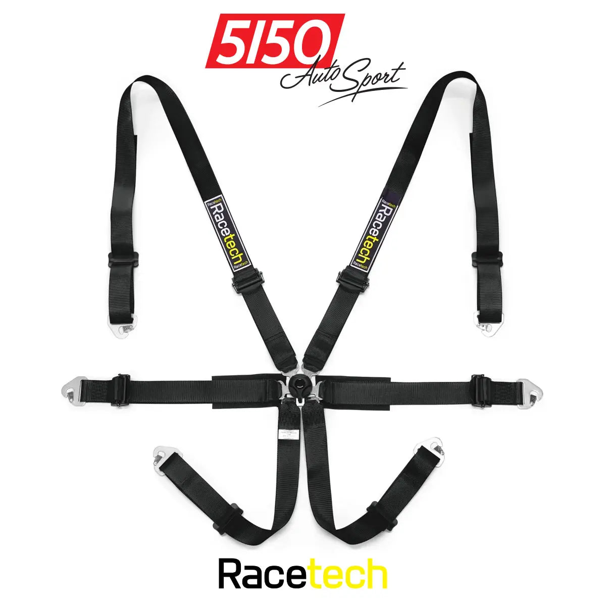 Racetech Pro International 6-Point Harness