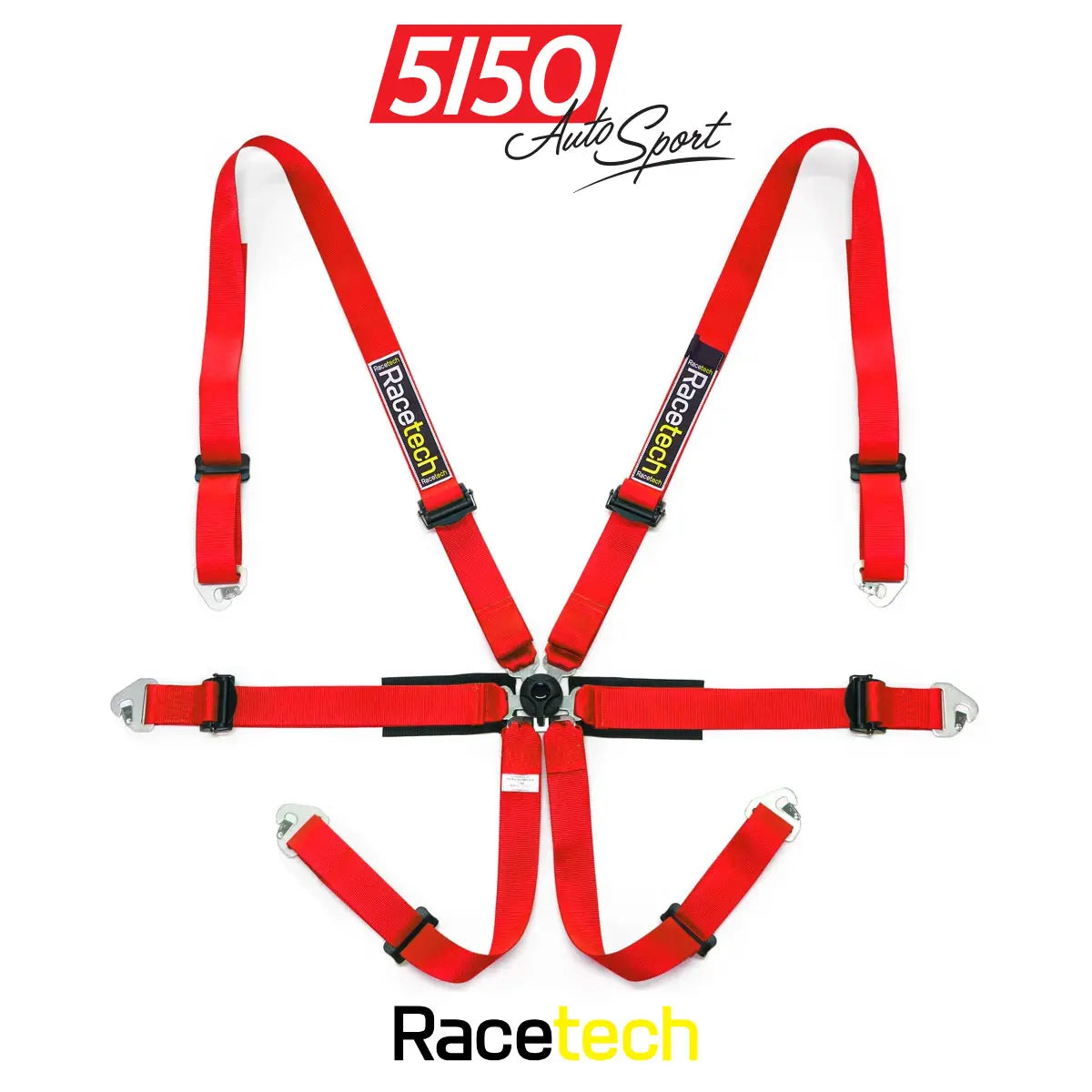 Racetech Pro International 6-Point Harness