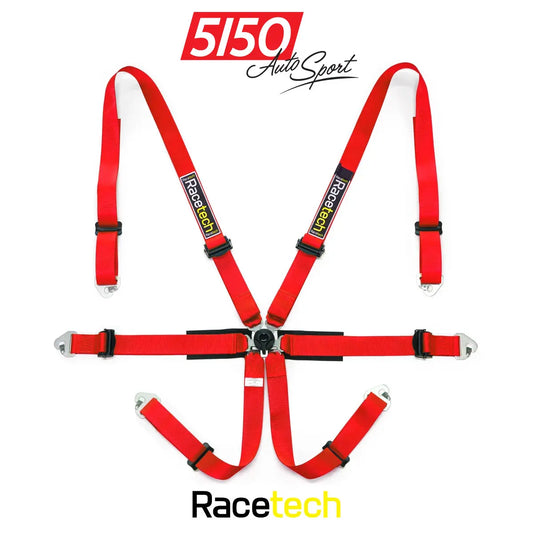 Racetech Pro International 6-Point Harness
