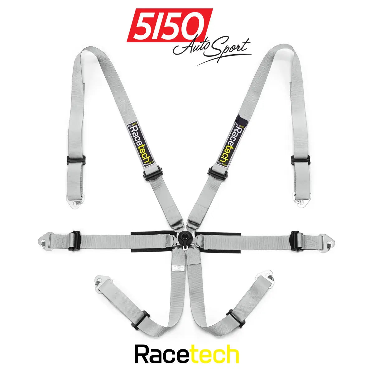 Racetech Pro International 6-Point Harness